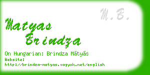 matyas brindza business card